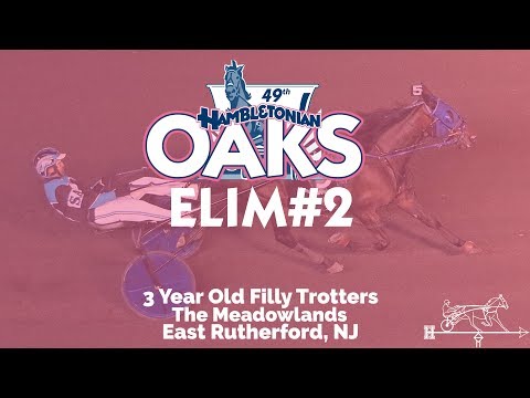 2019 Hambletonian Oaks Elimination 2 - When Dovescry #Hambo19