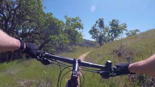 Henry Coe State Park - Wilson Peak Trail - Grizzly Gulch Trail