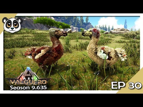 Dodo Event Fight!  | S9.635 EP30 | ARK: Valguero