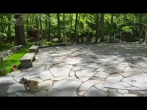 Celebration Garden at Bearsville Center, Woodstock NY
