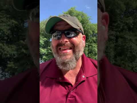 YouTube video about: How to keep dogs separated in same house?