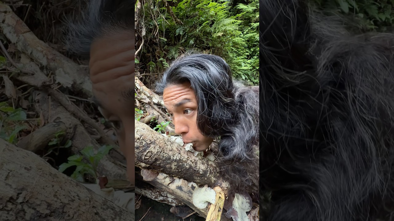 四足歩行の動物の気持ち　#shorts