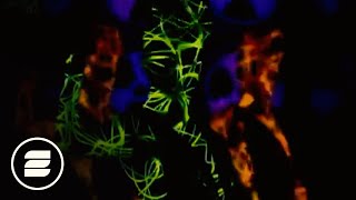 Darren Styles &amp; Manian - Outta my head (Manian Video Mix)