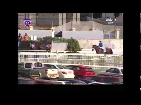 Cédric Ségeon - The Comeback with Silver Bluff