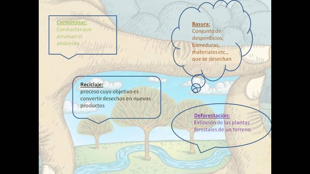 mi opinión sobre la contaminación que nos rodea