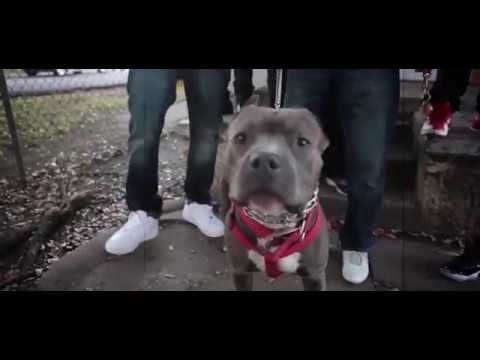 Cut Throat: Lil Soulja Slim Ft. Willa Boy x Trenitty (Official Video)