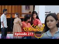 Paradeese Episode 277 2025 08 22 ITN