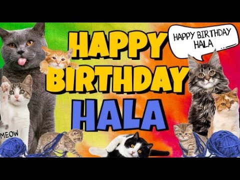 Happy Birthday Hala! Crazy Cats Say Happy Birthday Hala (Very Funny)
