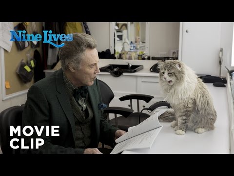 Nine Lives - I'm a Cat Whisperer [HD]