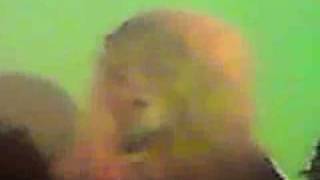 JJ - Things Will Never Be The Same Again live @ Landet 090924