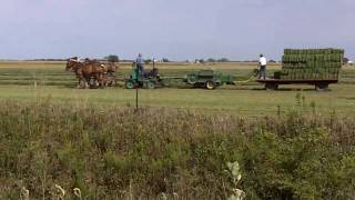 preview picture of video 'Amish Baling Hay With Horses Arthur Illinois'