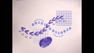 Deep Space Organisms - Outer Moment