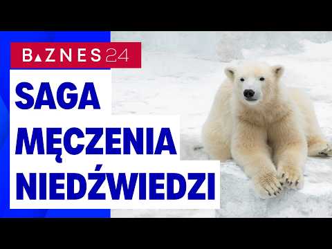 GPW: Mozolny trend w górę