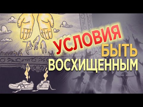 #182 Условия быть восхищенным - Алексей Осокин - Библия 365 (2 сезон)
