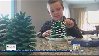 Local boy raising money for Ronald McDonald house by selling pine cones