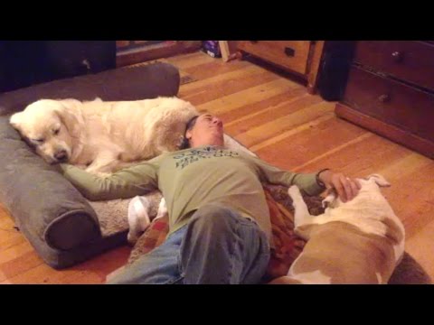 Durmiendo en las camas de mis perros