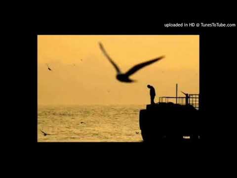 Berfu - Martılar (Teoman Cover)