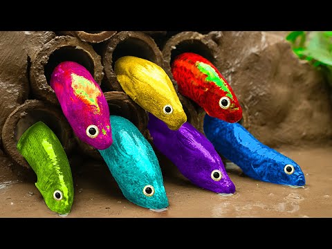 Koi Fish Hunt Eels Emerging From Bamboo Tubes, Crabs - Experiment Colorful Rainbow Stop Motion ASMR