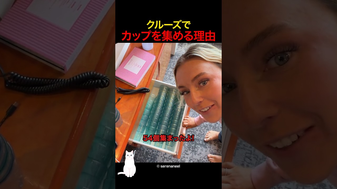 クルーズでカップを集める理由