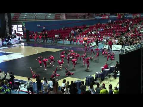 TEENAGE TEAM - HIGH SCHOOL - Disco EC 2019