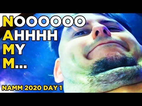 What does NAMM stand for? (NAMM 2020 Vlog Day 1)