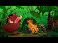 Kmari And Bailey S Adventures Of The Lion King Pt 14