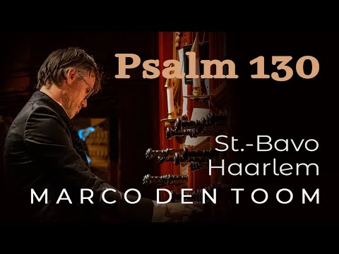 download lagu mp3 mp4 Marco Den Toom, download lagu Marco Den Toom gratis, unduh video klip Marco Den Toom