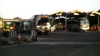 Download lagu Perang klakson bus Sugeng Rahayu & Mira mp3