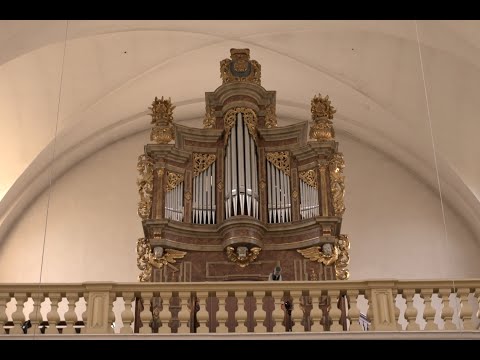 1900-Fährbrück, Wallfahrtskirche Mariä Himmelfahrt u. St. Gregor d. Große: Martin Joseph Schlimbach