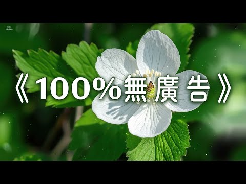 《100%無廣告》輕音樂吸引正能量並消除內心及周圍的負能量，消除壓力及焦慮，給你舒暢好心情，過慮一天累積的生活煩惱，提升睡眠品質，無憂無慮