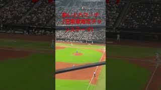 【日ハム】旧 関東限定チャンステーマ 酔いどれマーチ#エスコンフィールド北海道#ファイターズ