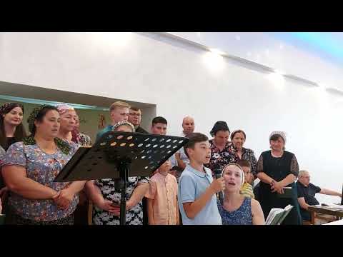 22.  C. N.  Săngeorz - Băi  -  Poezie Fr.  Ionel