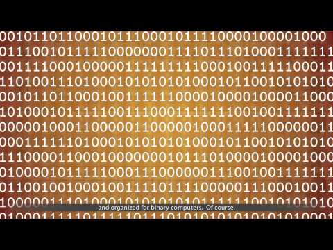 The Art of Writing Software