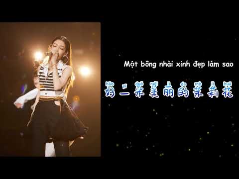 [Pinyin+Vietsub] Hoa Nhài - Hy Lâm Na Y Cao || 茉莉花 · 希林娜依 || 【金曲青春】