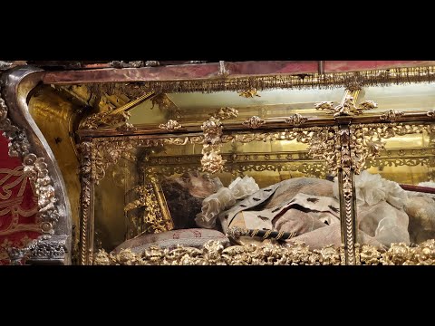 Día de San Fernando Sevilla cuerpo incorrupto de Fernando III el Santo Sevilla express #sanfernando