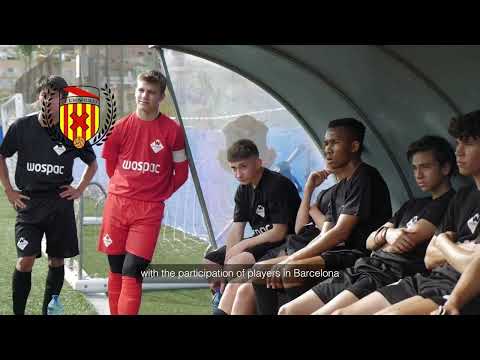 WOSPAC SHORTSTAGES Program  up to 3 months