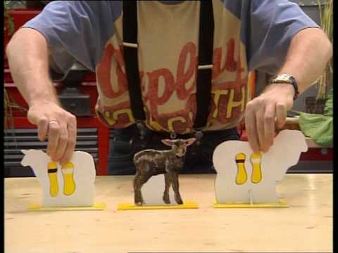 comment demarrer elevage chien