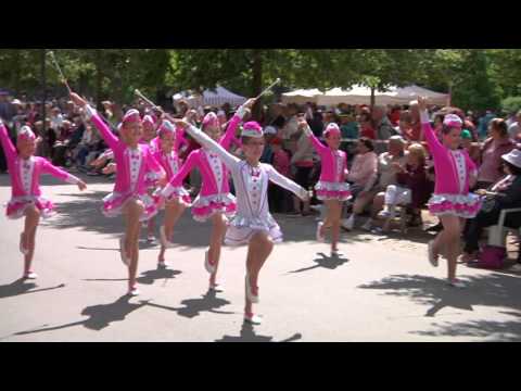 Pochodové defilé  Minipanenky Hranice - MČR NBTA Poděbrady 2017