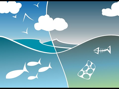 Verratene Ideale - Warum ich von der grünen Politik schwer enttäuscht bin