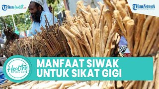 Apakah Sikat Gigi Pakai Siwak Bisa Membersihkan Gigi? Berikut Manfaat yang Belum Diketahui