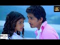 Bommanu Geesthe 4K Full Video Song Bommarillu 4K Siddharth Genelia Bhaskar Devi Sri Prasad