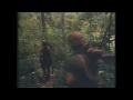 Vietnam War Combat Footage (Cambodia 1970)