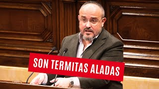 ALEJANDRO FERNÁNDEZ les saca los colores