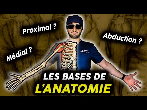 Introduction to anatomy : Everything you HAVE TO know