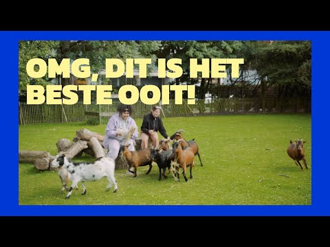 #BRUSSELHACKS - De kinderboerderij in het midden van de stad