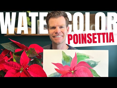 HOW TO PAINT a POINSETTIA FLOWER in WATERCOLOR
