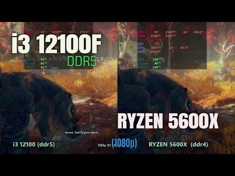 Core i3 12100 ddr5 vs Ryzen 5600x ddr4 in 2024