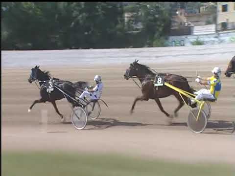 Trotto 14/09/2018 - 1ª corsa