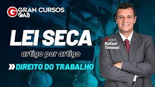 Lei seca: Artigo por Artigo - Direito do Trabalho com Prof. Rafael Tonassi