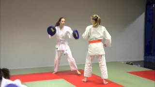 preview picture of video 'Ju-jitsu club Hiraku Do Hove - stoten en vegen'